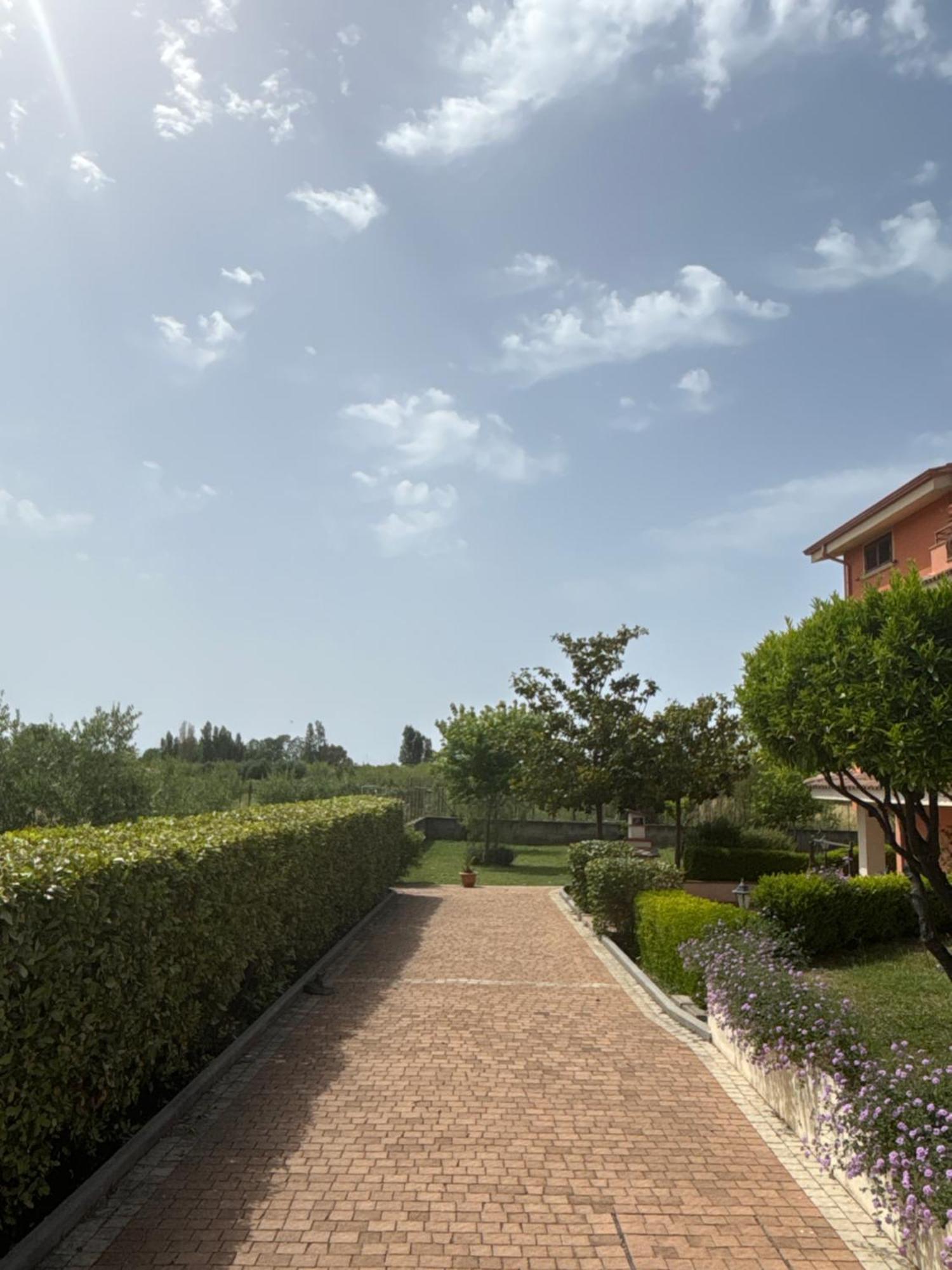 Villa Laregina Grisolia Εξωτερικό φωτογραφία