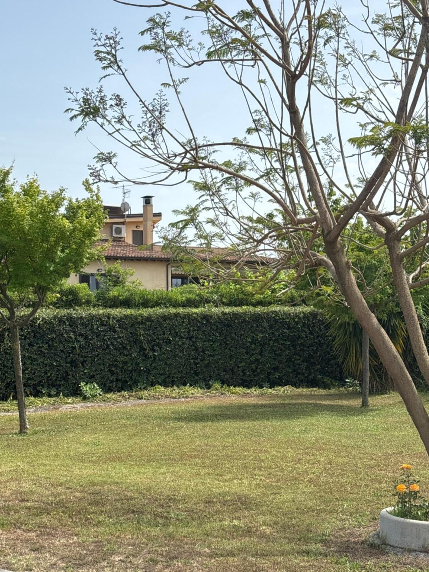 Villa Laregina Grisolia Εξωτερικό φωτογραφία