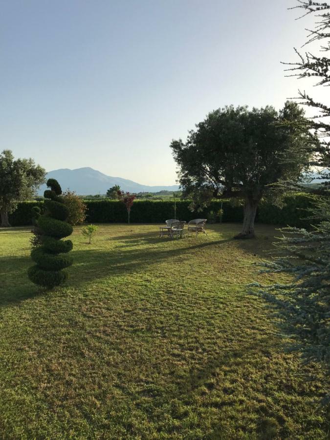 Villa Laregina Grisolia Εξωτερικό φωτογραφία