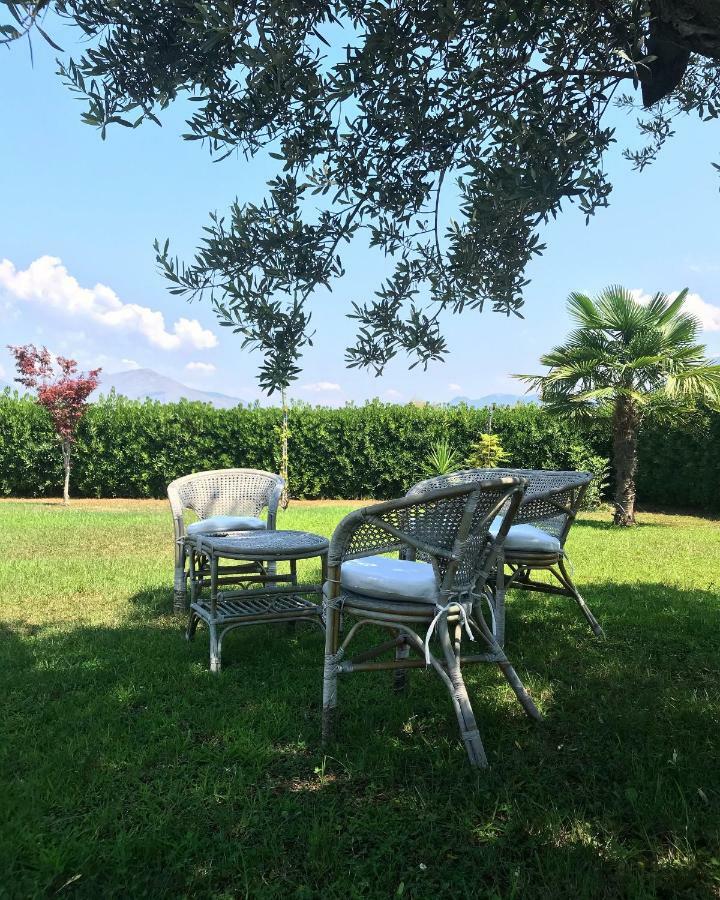 Villa Laregina Grisolia Εξωτερικό φωτογραφία
