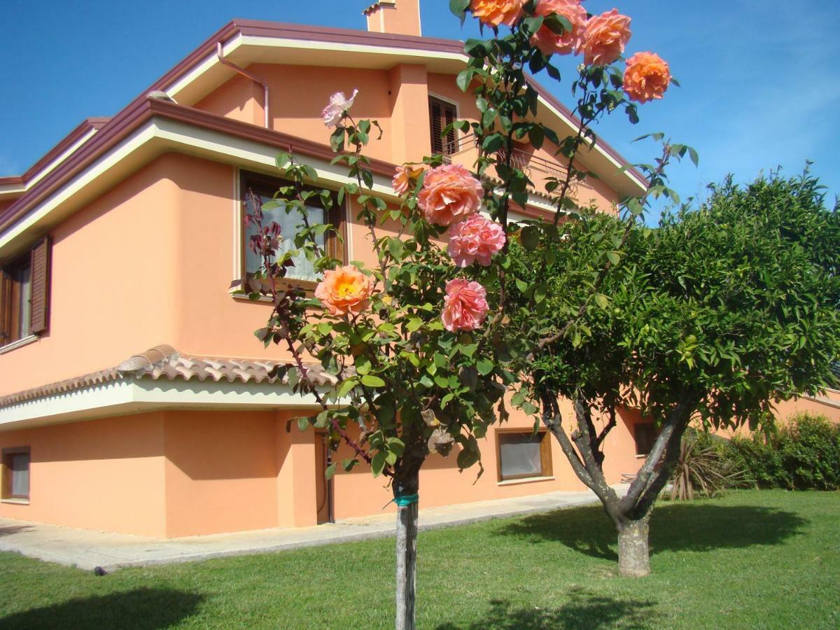 Villa Laregina Grisolia Εξωτερικό φωτογραφία